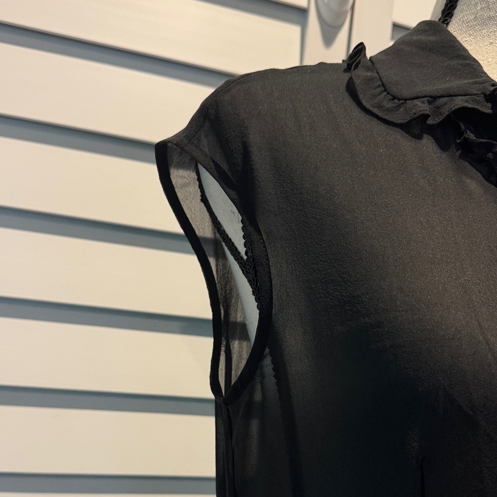 The Limited Black Ruffled button down sheer Blouse - Picture 4 of 11